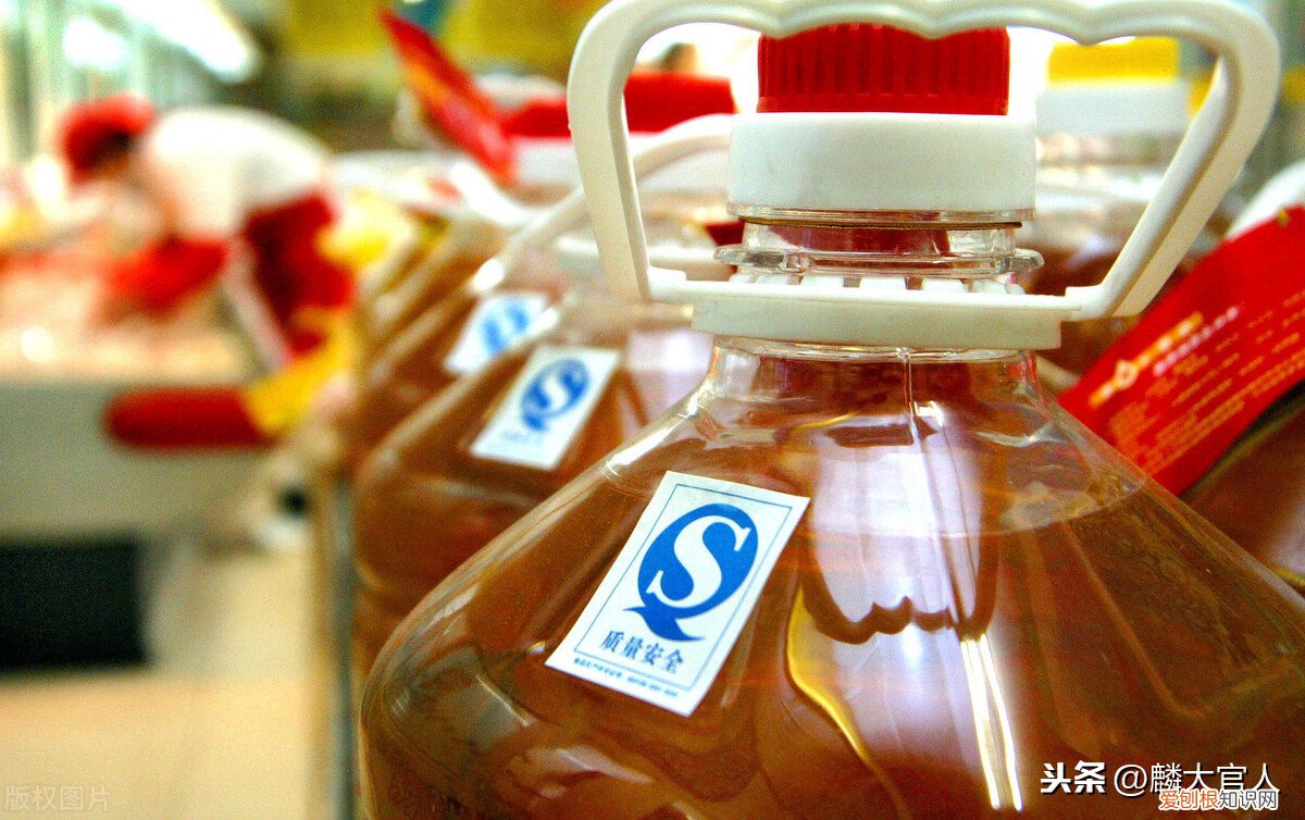 非转基因食用油能吃吗？“非转基因油”和“转基因油”有啥区别？