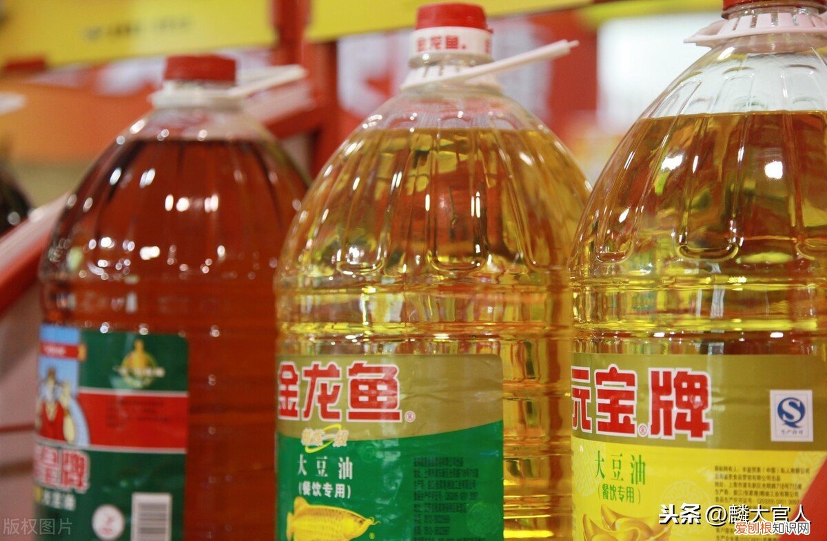 非转基因食用油能吃吗？“非转基因油”和“转基因油”有啥区别？