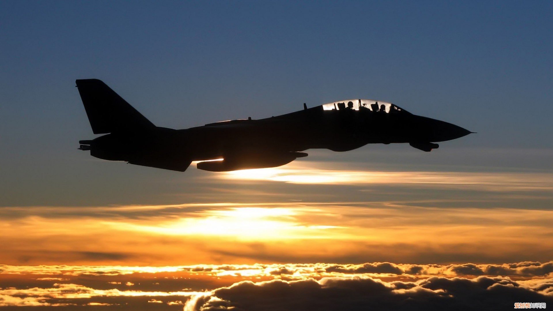 沉默的真相幕后凶手是谁揭秘 沉默的真相结局谁是凶手