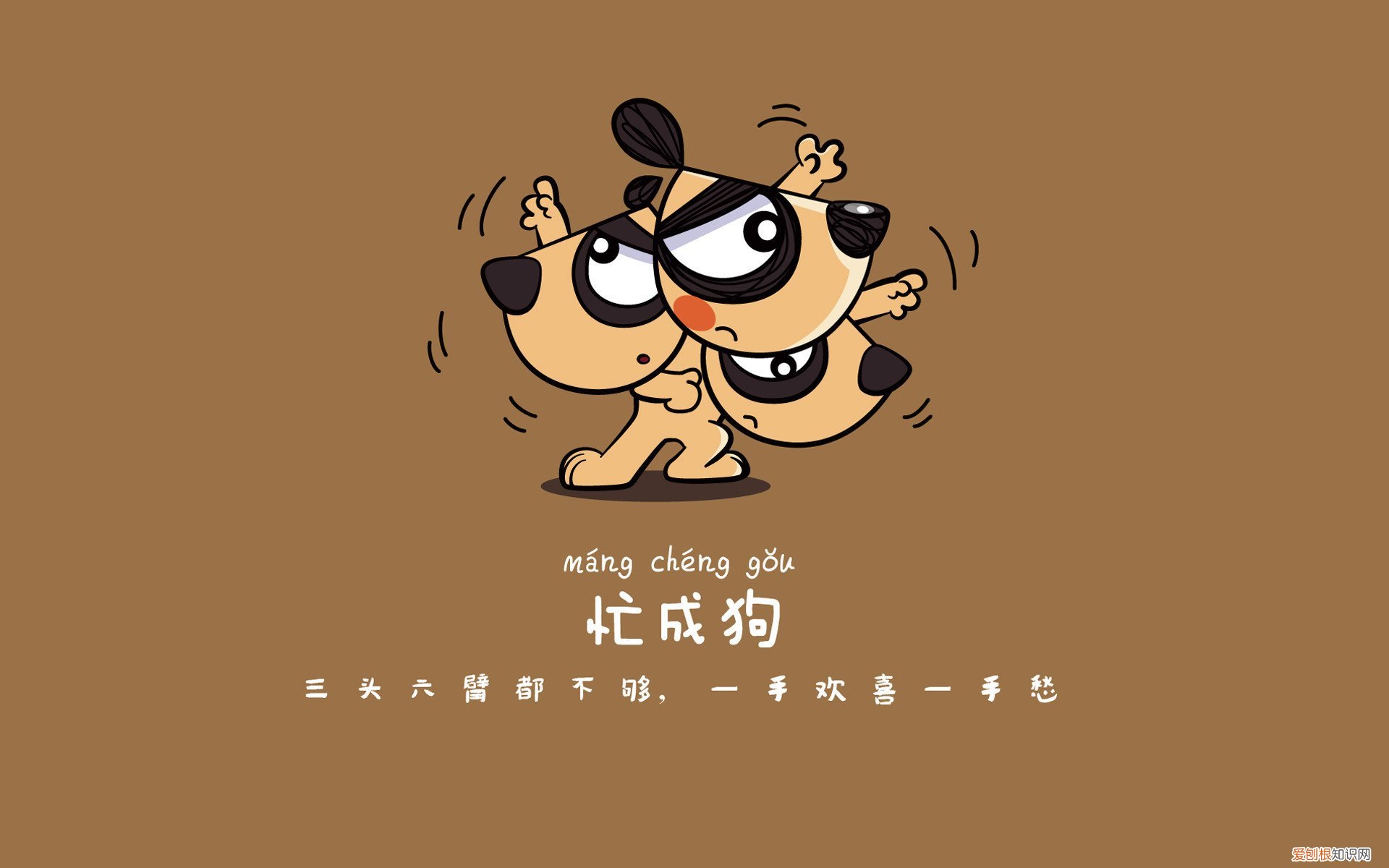 沉默的真相幕后凶手是谁揭秘 沉默的真相结局谁是凶手