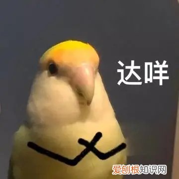 达咩是什么意思？表示明确的拒绝