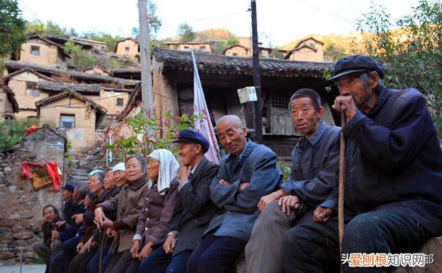 四大镇宅之树是哪四种？银杏、罗汉松、槐树、桂树