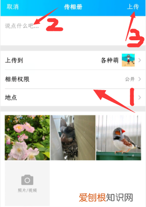 如何把照片放入QQ相册,怎么把相片上传到QQ相册
