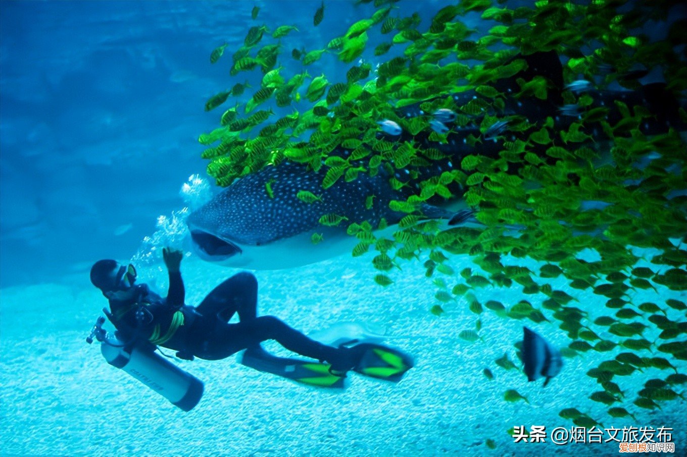 千万不要错过这些景点 烟台旅游攻略必去景点