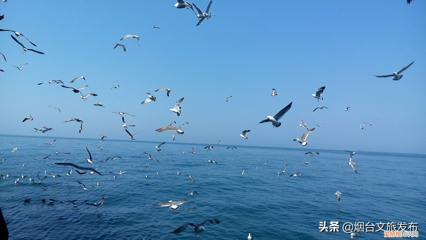 千万不要错过这些景点 烟台旅游攻略必去景点