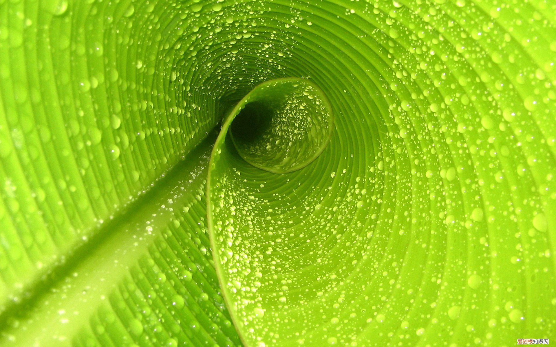 快来测试下你有没有 幽闭恐惧症自测量表