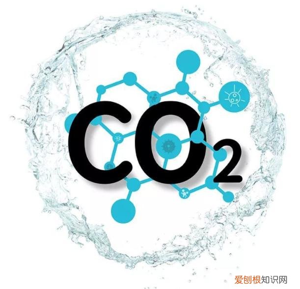 产生温室效应的气体主要是什么