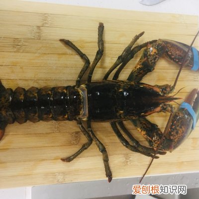 一学就会,超简单! 波士顿龙虾的简单做法