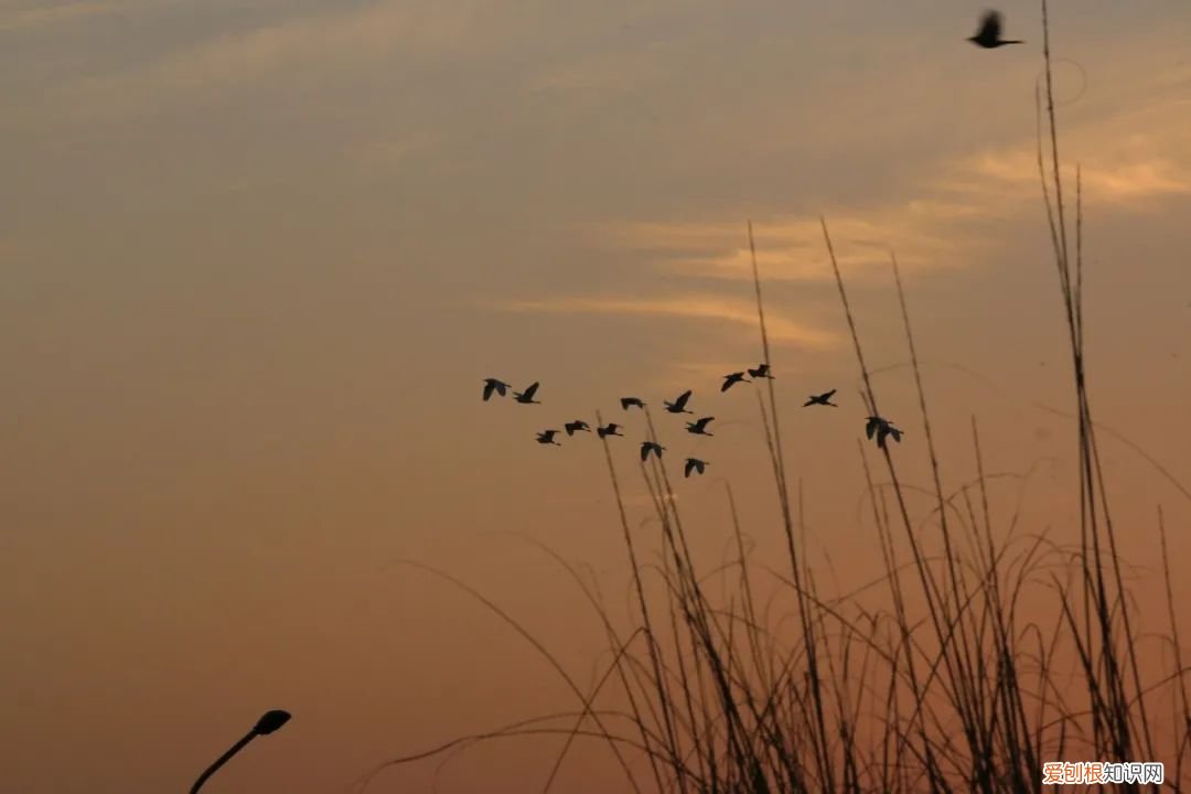 每一首都堪称经典 陆游最有名的十首诗
