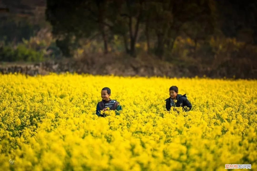 到漳州旅游千万不要错过这些 漳州旅游必去十大景点