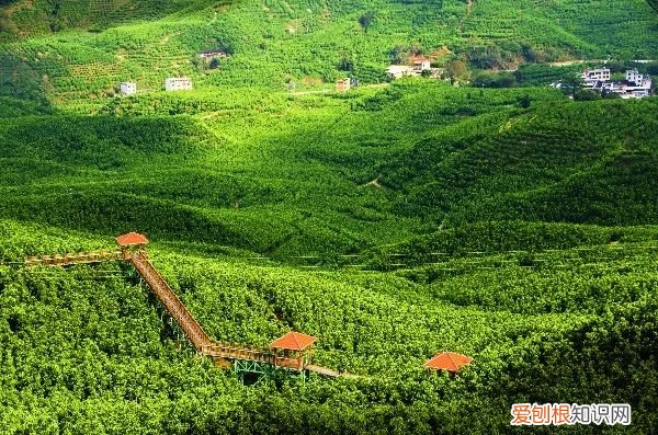 到漳州旅游千万不要错过这些 漳州旅游必去十大景点