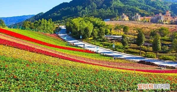 到漳州旅游千万不要错过这些 漳州旅游必去十大景点