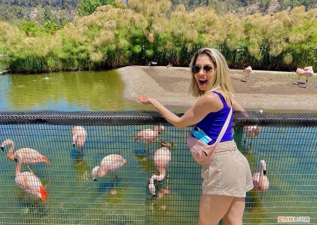 大概只有1960万 智利有多少人口