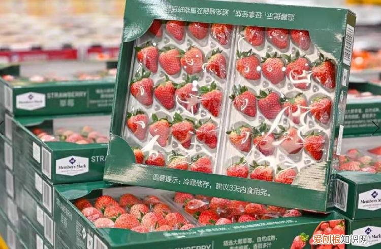 花260元办卡到底值不值? 山姆会员店怎么办卡