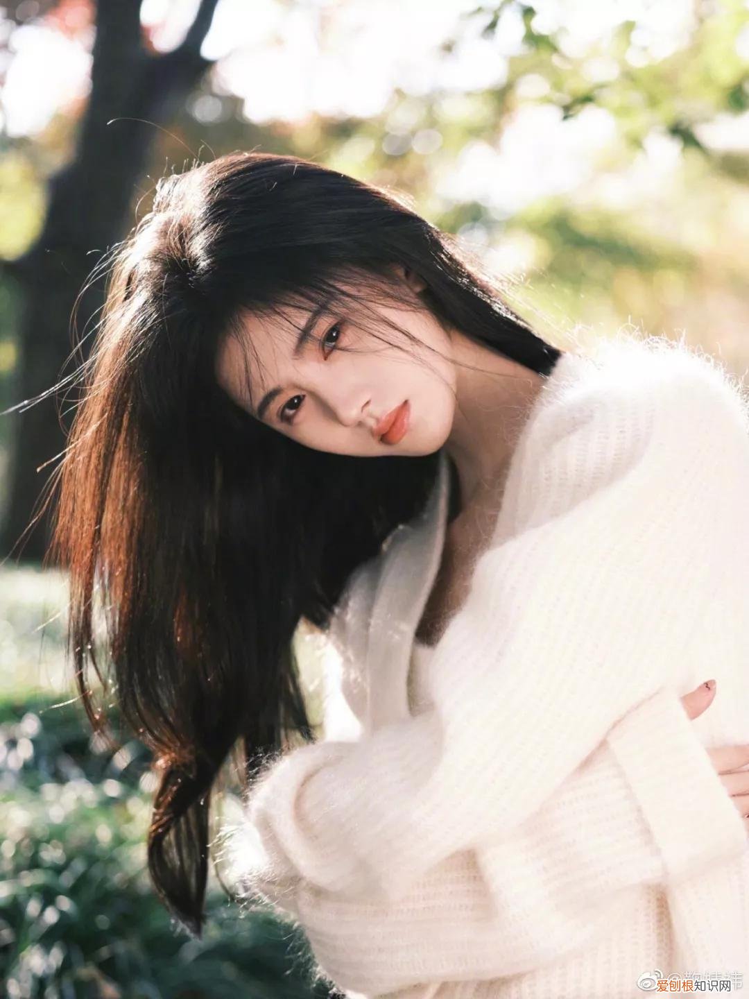 这4款超显脸小，堪比换头 鹅蛋脸适合什么刘海