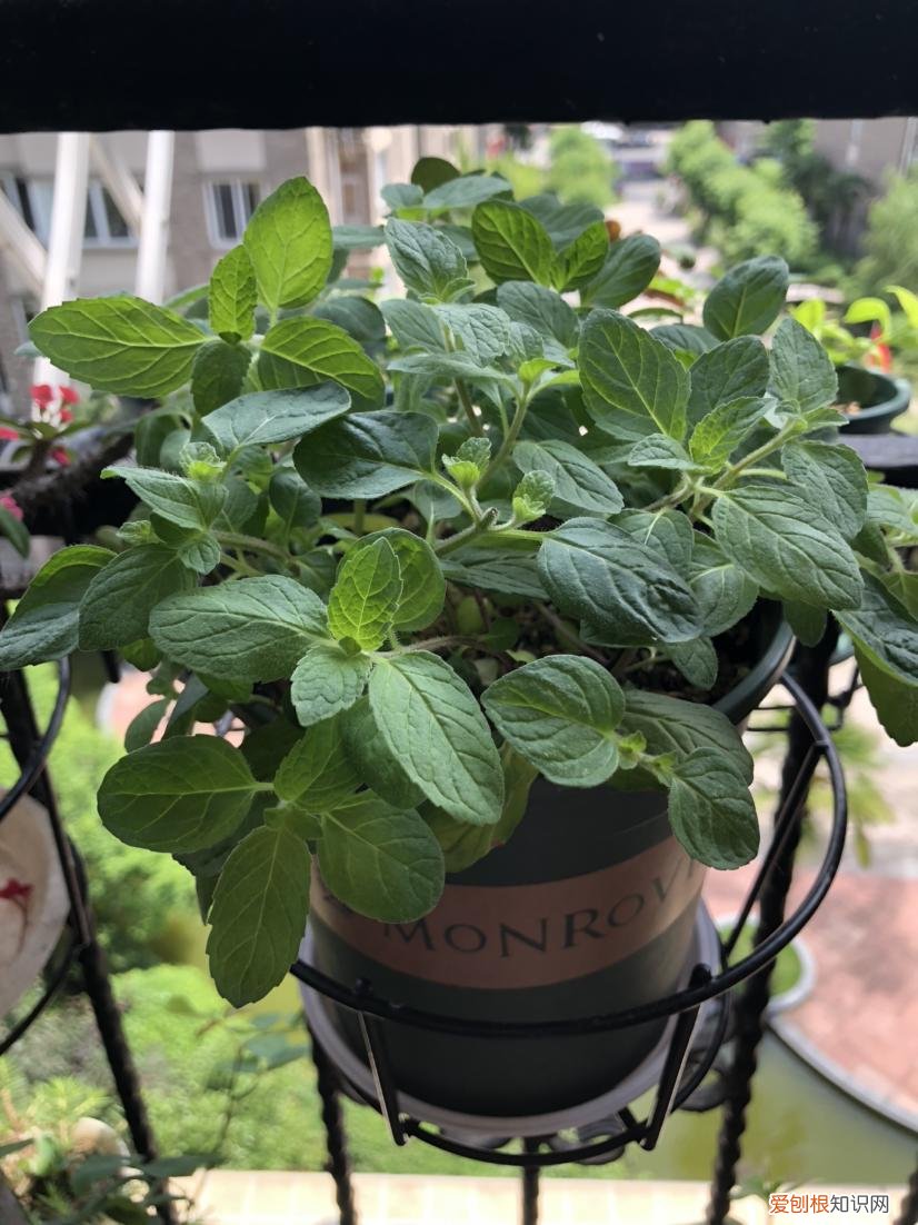 解决潮湿问题，6招搞定 房间潮湿怎么办