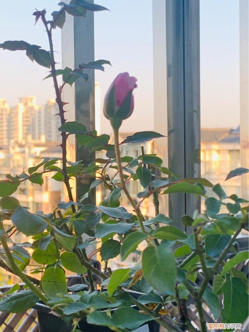 解决潮湿问题，6招搞定 房间潮湿怎么办