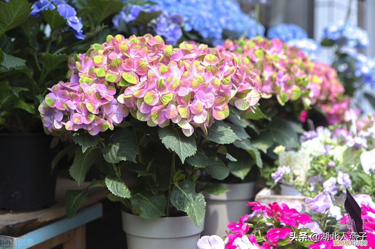 妇女节送妈妈什么礼物好？这7种礼物实用又不贵