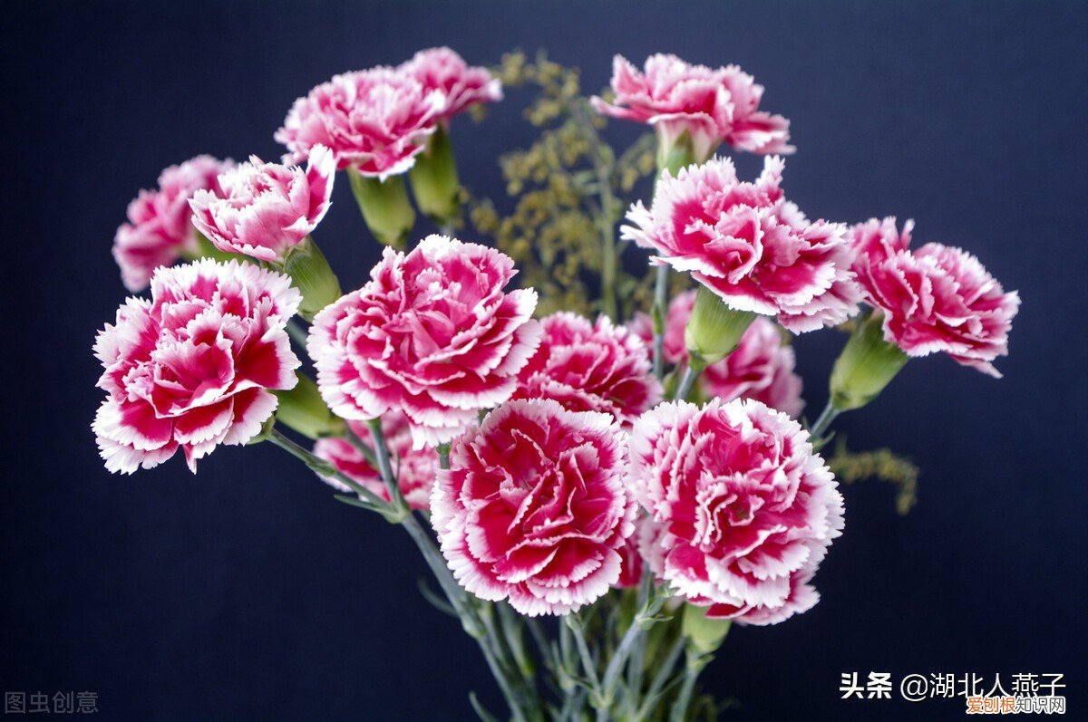 妇女节送妈妈什么礼物好？这7种礼物实用又不贵