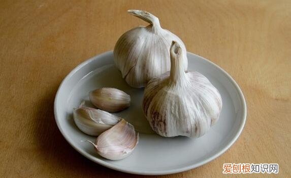 土豆发芽了还能吃吗？发芽的土豆是不能够吃，有毒