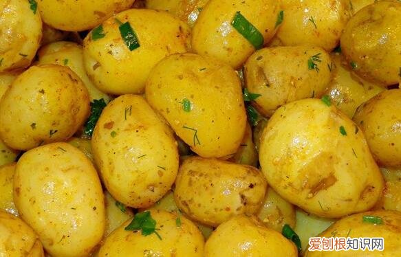 土豆发芽了还能吃吗？发芽的土豆是不能够吃，有毒