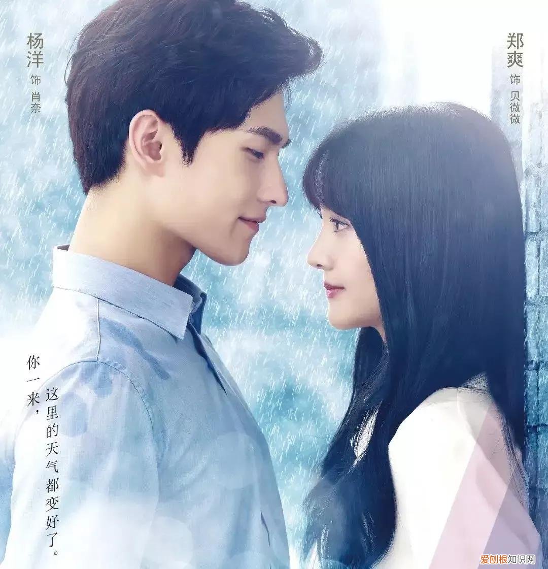 郑爽杨洋在一起了吗？郑爽“三段”辛酸情史