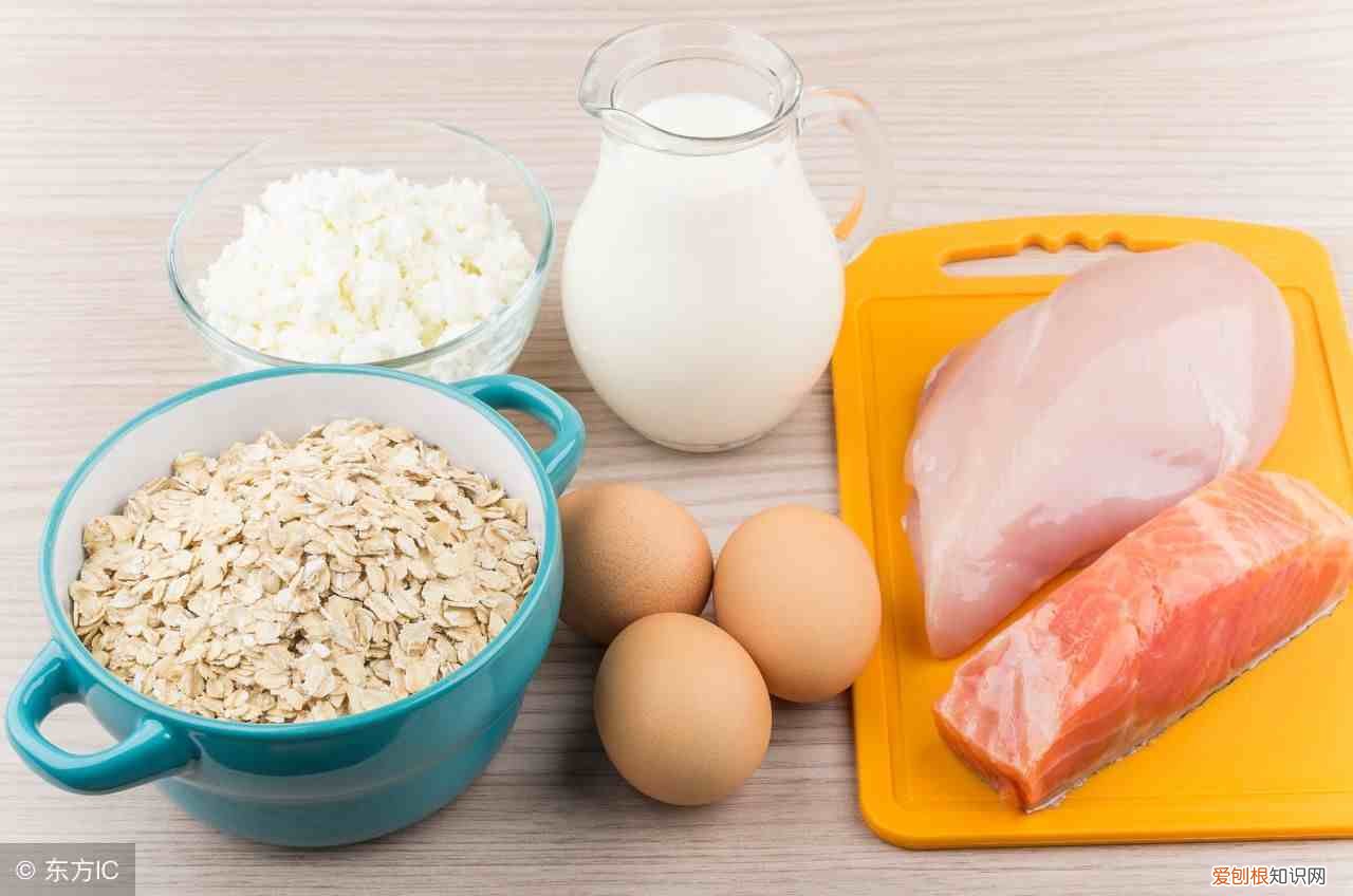 富含蛋白质的食物有哪些 蛋白质食物有哪些