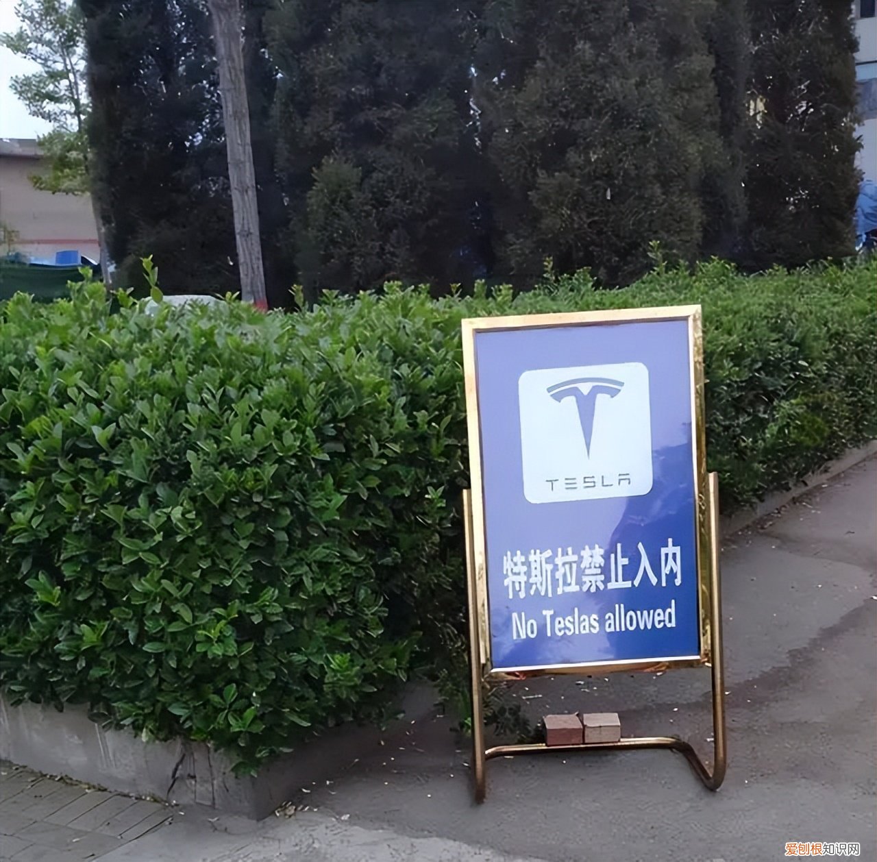 国产ModelY落地价逼近40万 特斯拉汽车2022款最新款价格