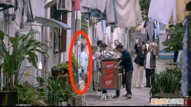 心居大结局介绍 展翔最后和谁在一起了