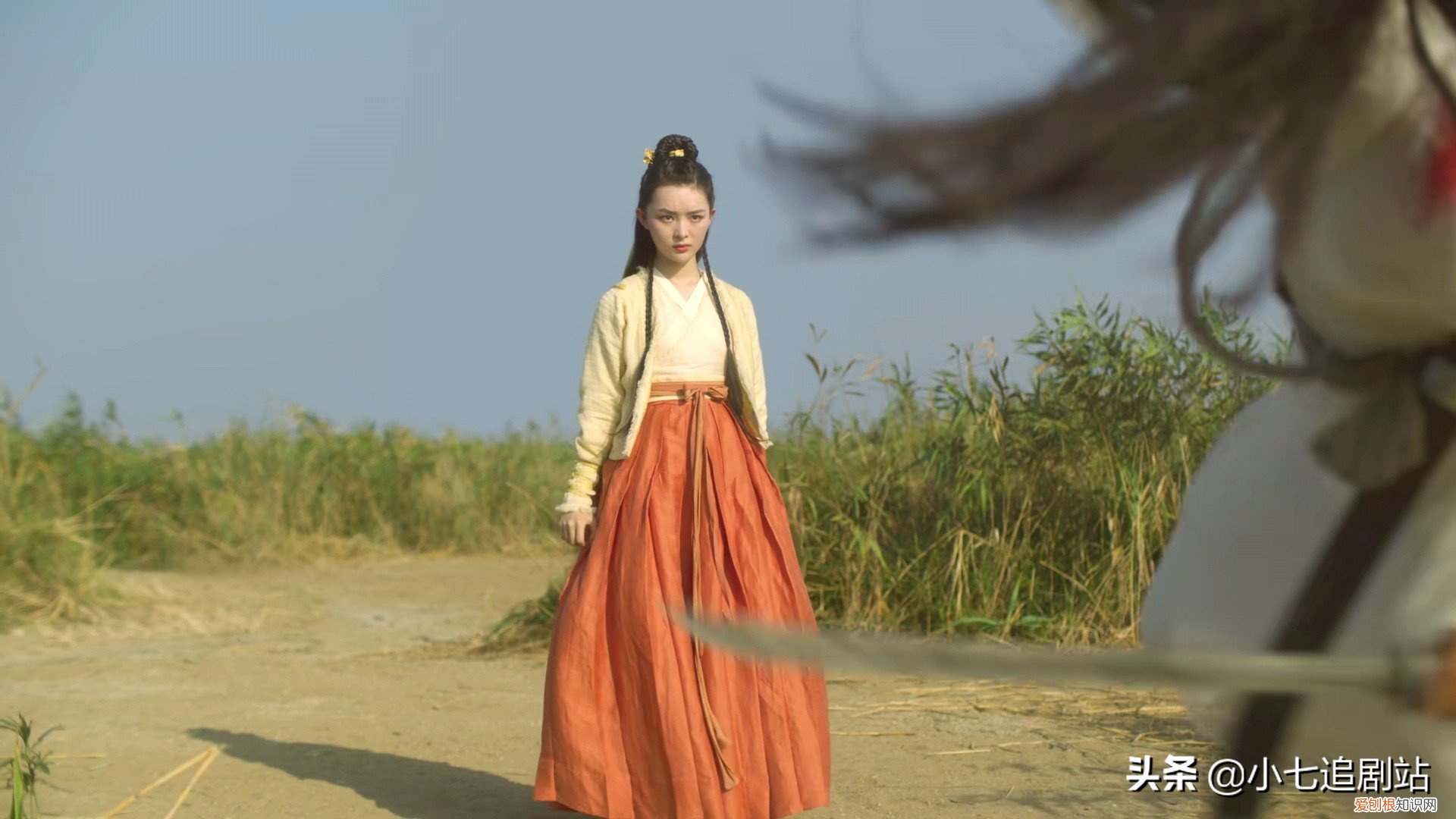 呵呵姑娘真实身份 呵呵姑娘为什么杀虎夔