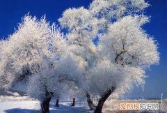 重庆冬天最冷是几月份，冬天是哪几个月到哪几个月