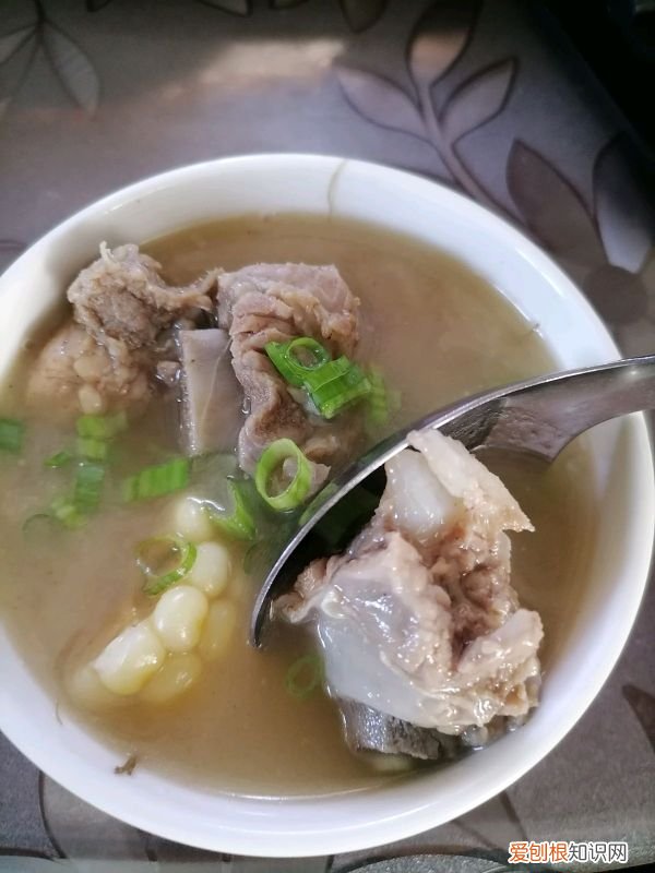 小白也能1秒变大厨 排骨汤怎么炖最好喝