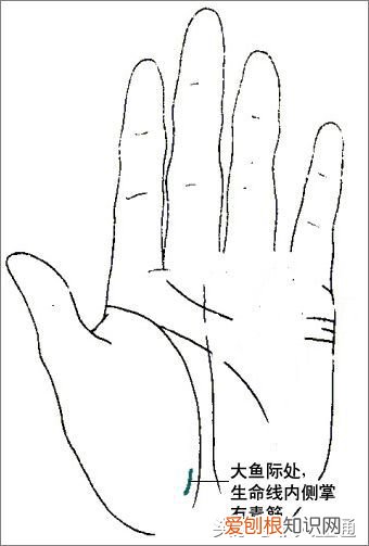 你知道女人大富手相图解吗？掌纹图解女右手详解