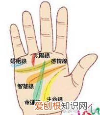 你知道女人大富手相图解吗？掌纹图解女右手详解