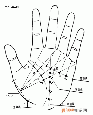 你知道女人大富手相图解吗？掌纹图解女右手详解