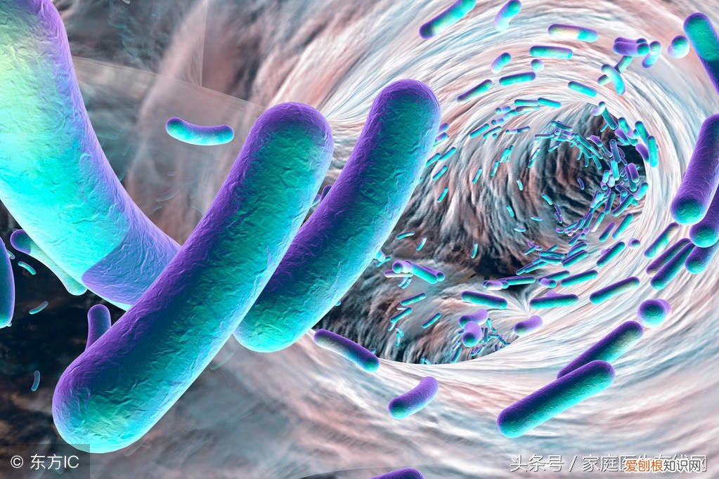 麦粒肿是什么原因引起？这4个原因，可以很好解释