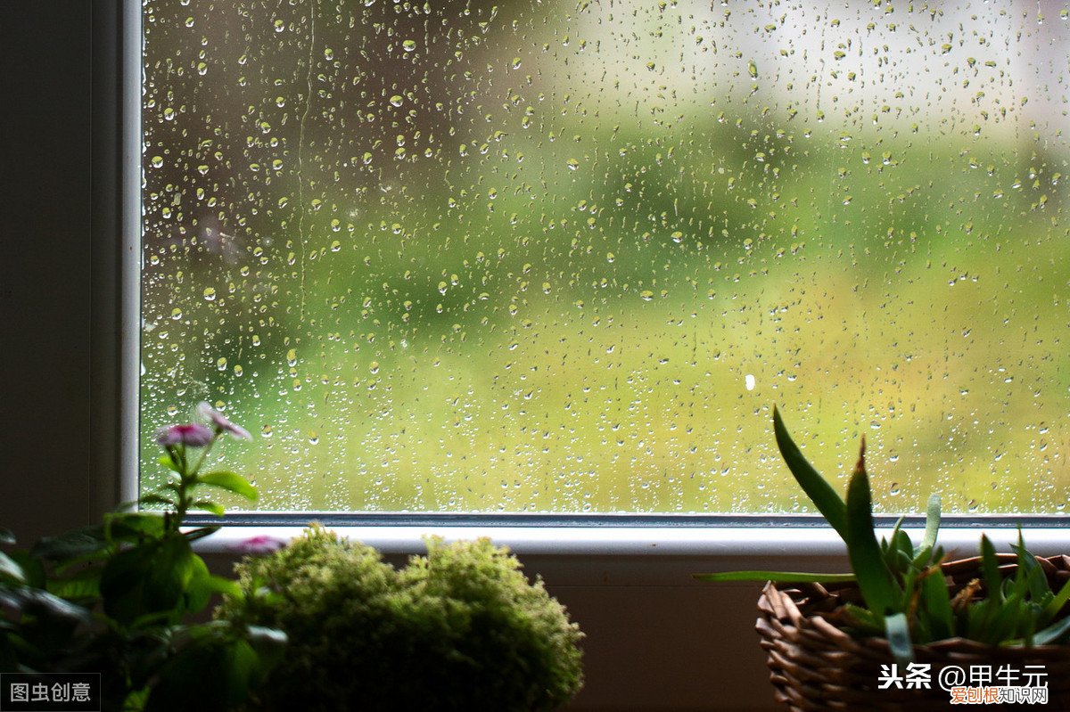 这3种方法，不花一分钱 去湿气最好最快的方法