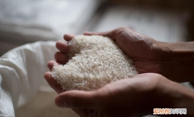 大米要怎么保存才能不发霉生虫