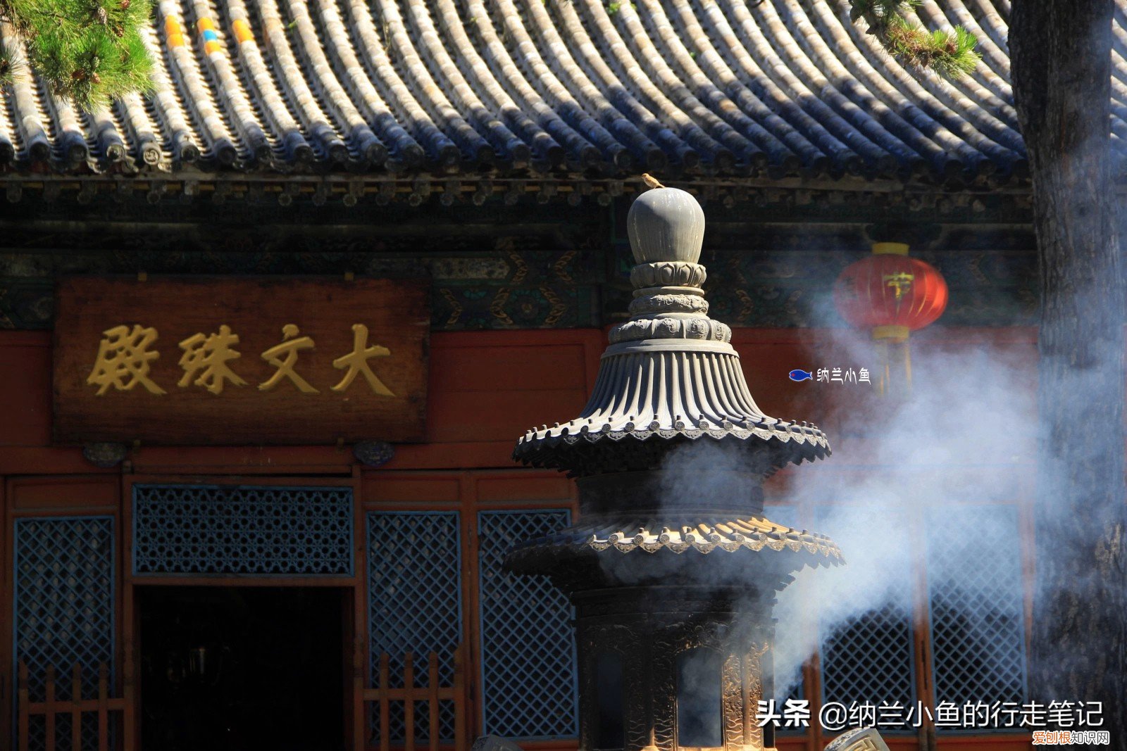 五台山在哪个省哪个市？五台山地处山西省东北部