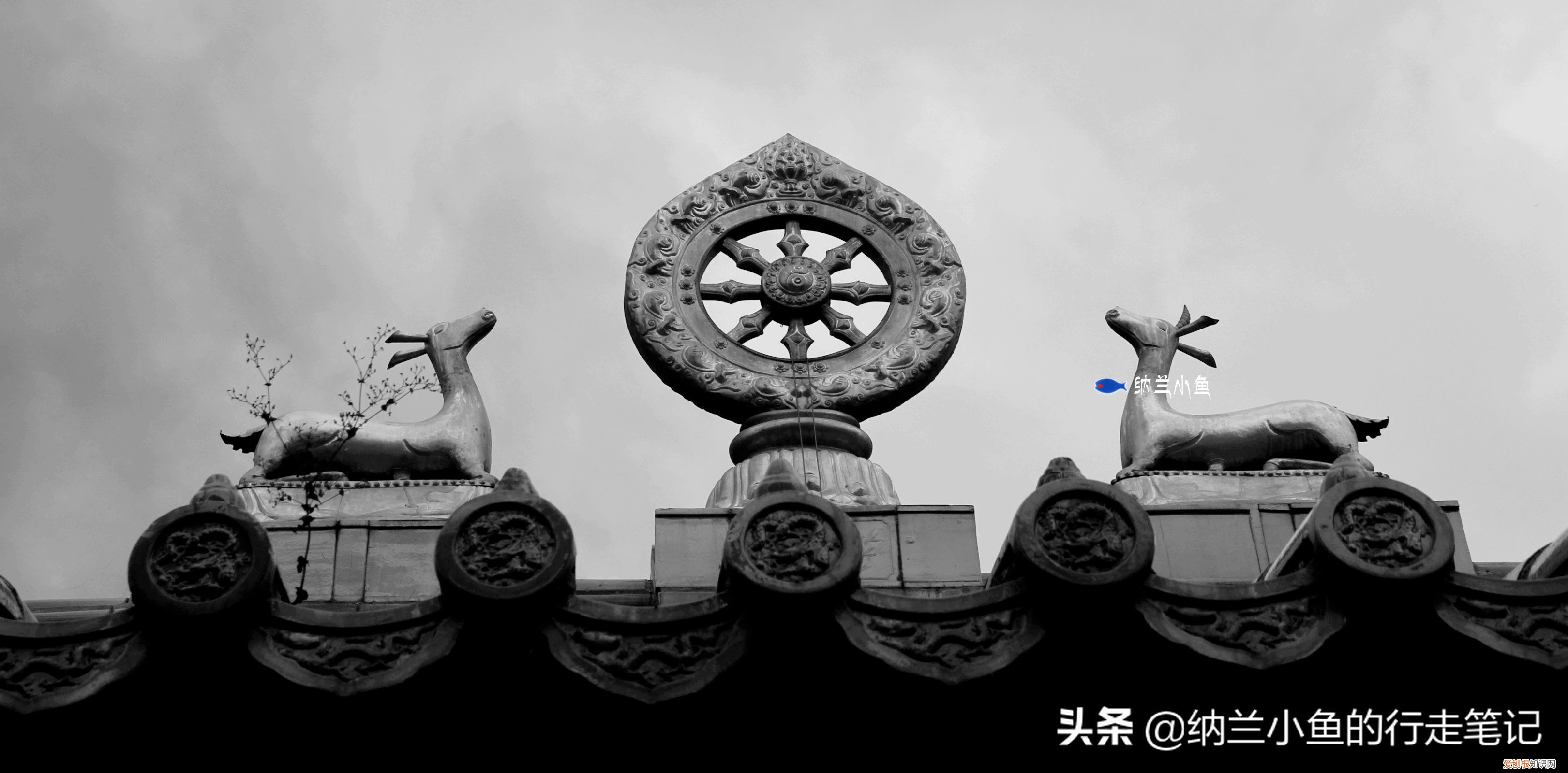 五台山在哪个省哪个市？五台山地处山西省东北部