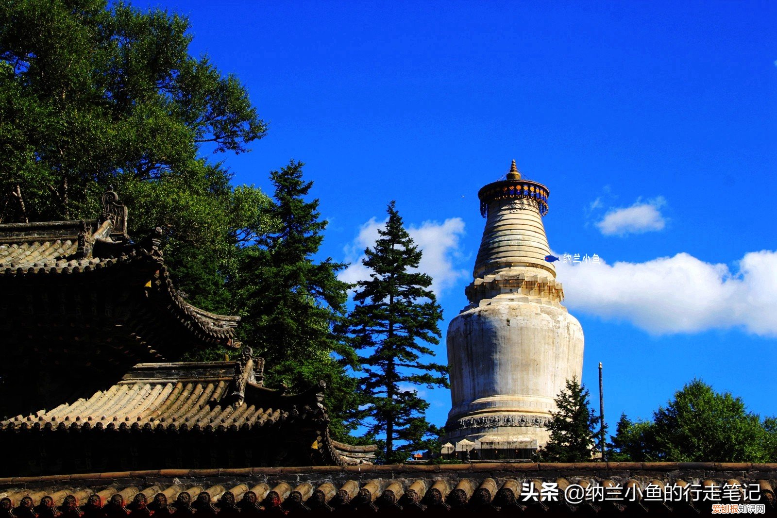 五台山在哪个省哪个市？五台山地处山西省东北部