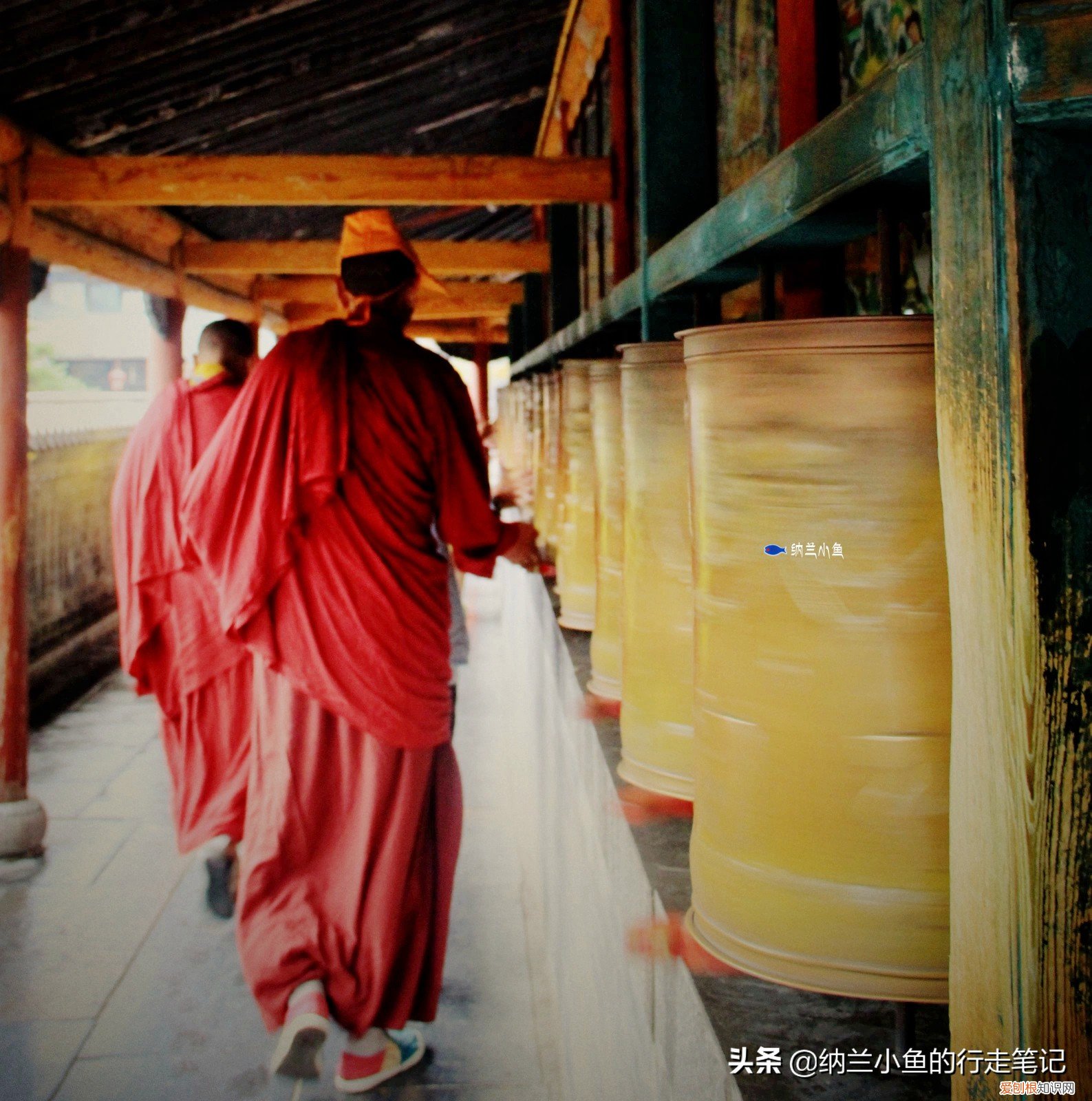 五台山在哪个省哪个市？五台山地处山西省东北部