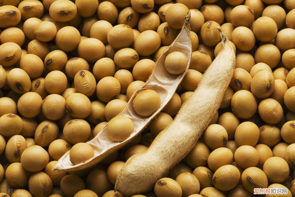 5升食用油是多少斤？也就是9.2斤