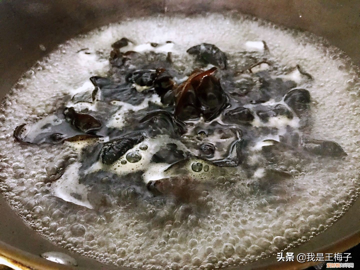 洋葱发芽了还能吃吗？营养师几句话，解开了多年疑惑