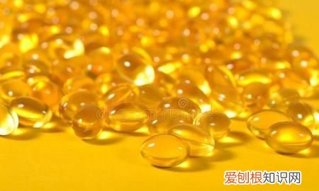 鱼肥油是什么东西，我家的鱼老是喂肉鱼缸油腻了怎么办