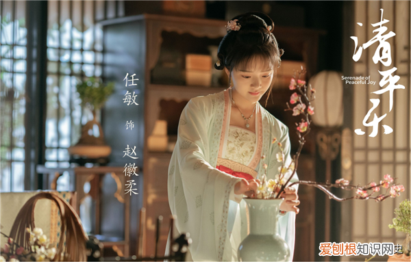 剧中徽柔公主的历史原型是福康公主 徽柔公主原型