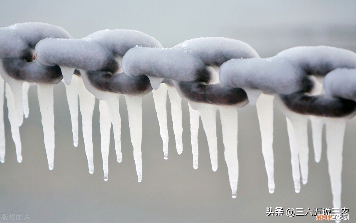 冬至是冬天的开始吗？冬至节气能预兆，看看老祖宗怎么说
