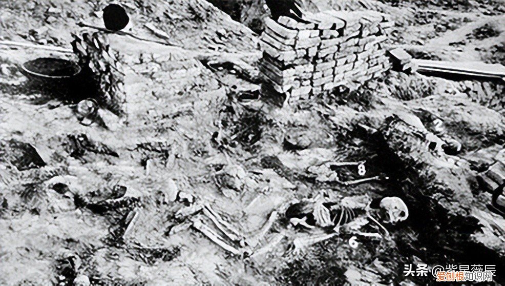 把皇帝都吓到桌子底下 中国最诡异的一天