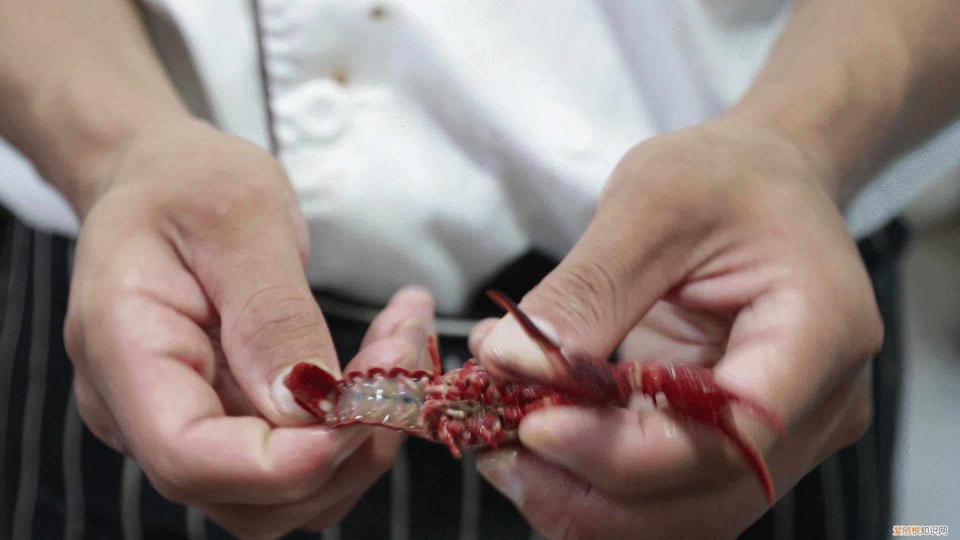 蒜蓉小龙虾怎么做？大厨详细讲解，新手一学就会