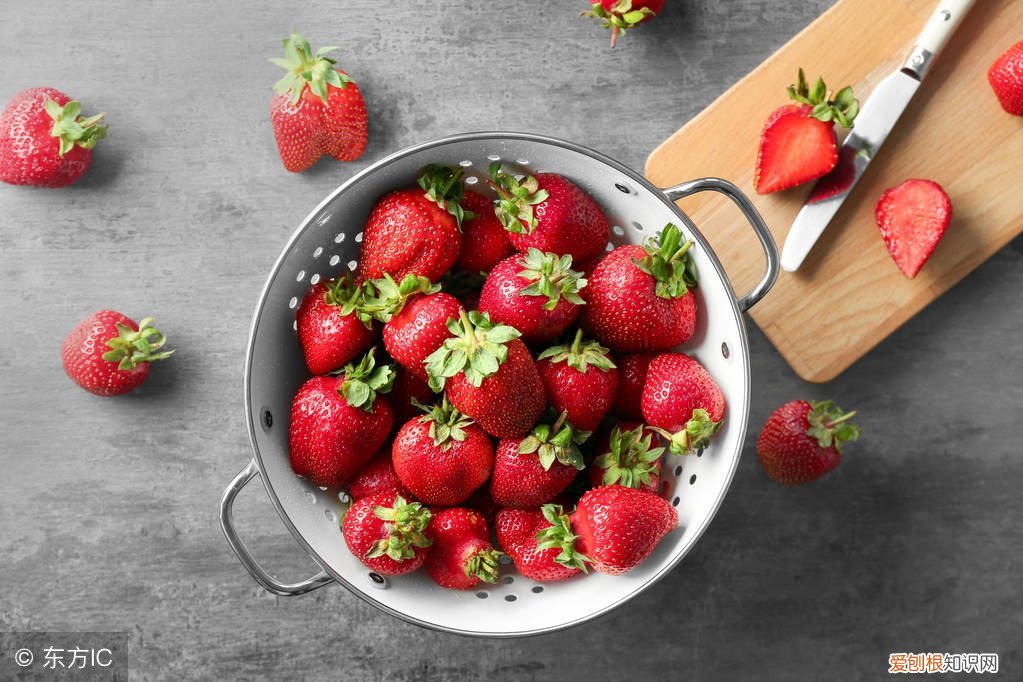 什么东西可以生发头发？「8种生发食物」让你摆脱脱发问题